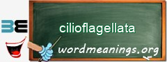 WordMeaning blackboard for cilioflagellata